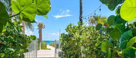 A wooden pathway leading to a beach, surrounded by lush greenery and palm trees.