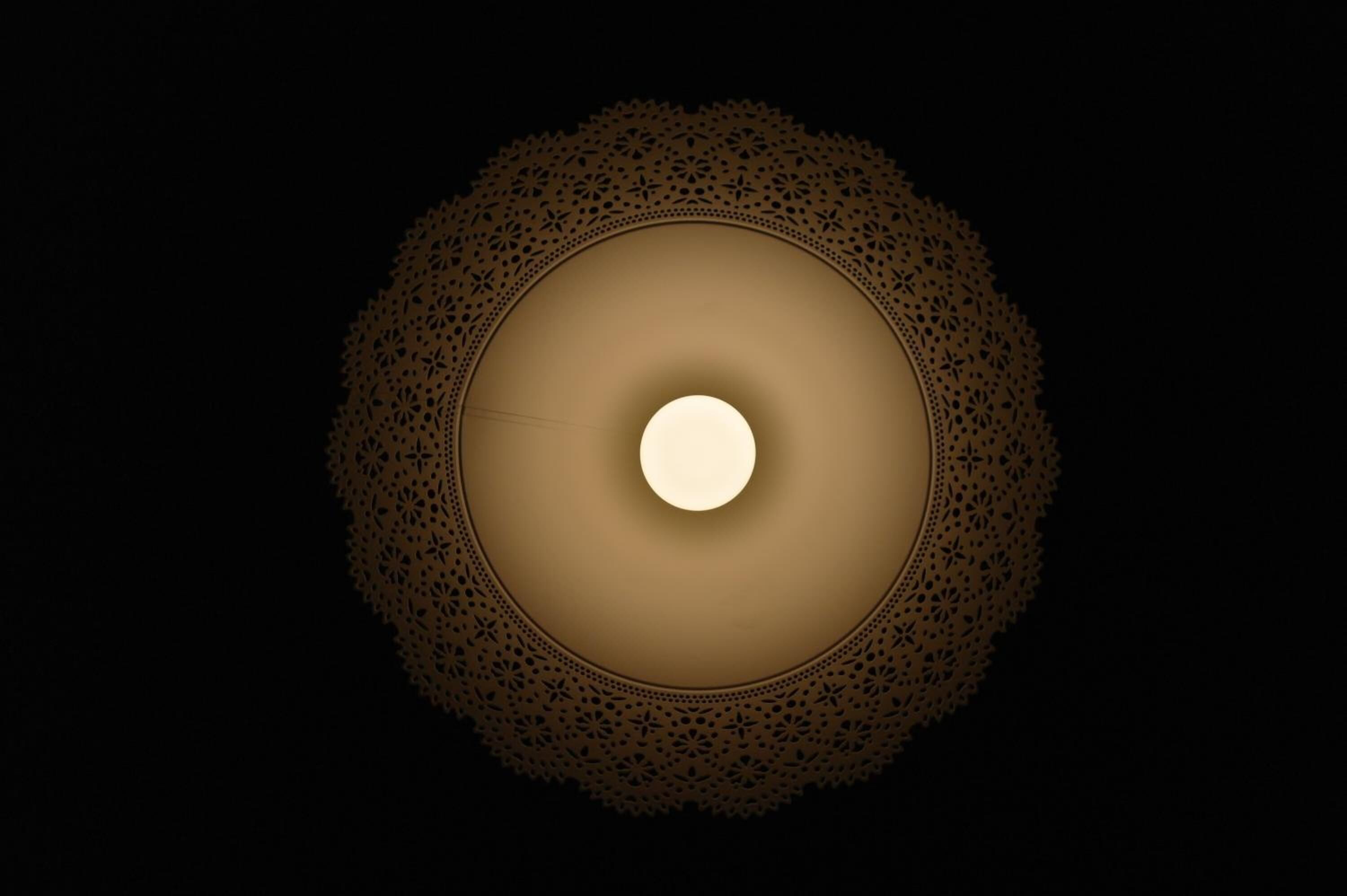 Foto - Chic Capsule Otel