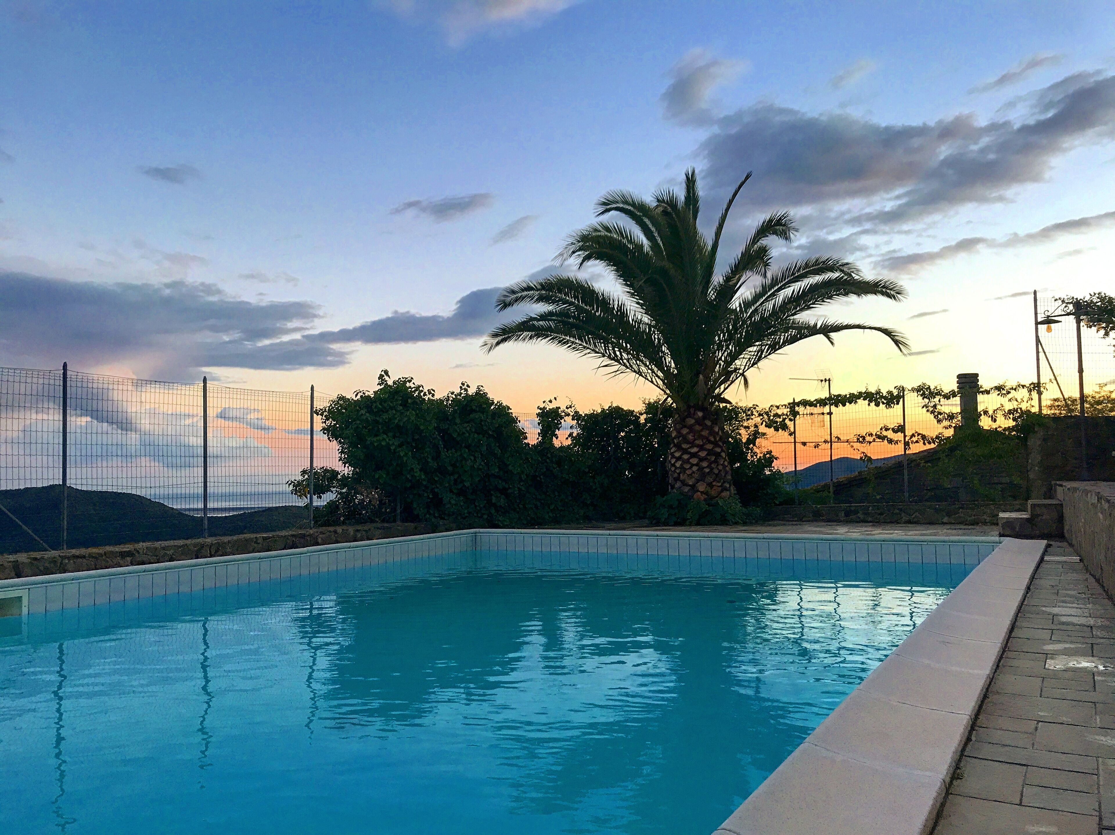 seasonal outdoor pool, open 8:00 am to 7:00 pm, pool umbrellas