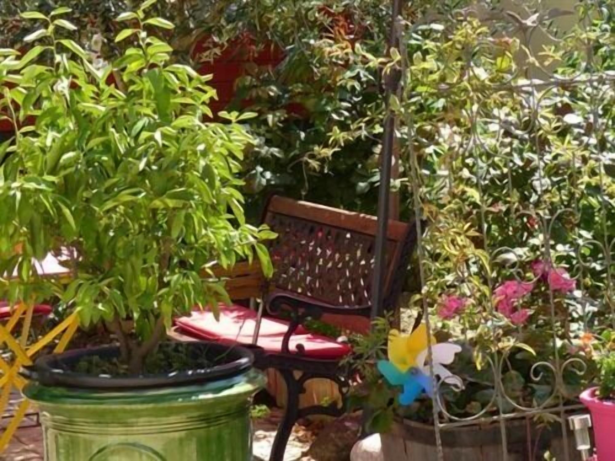 Un espace jardin agrémenté de plantes en pot, d’un banc en bois et d’une chaise en métal.