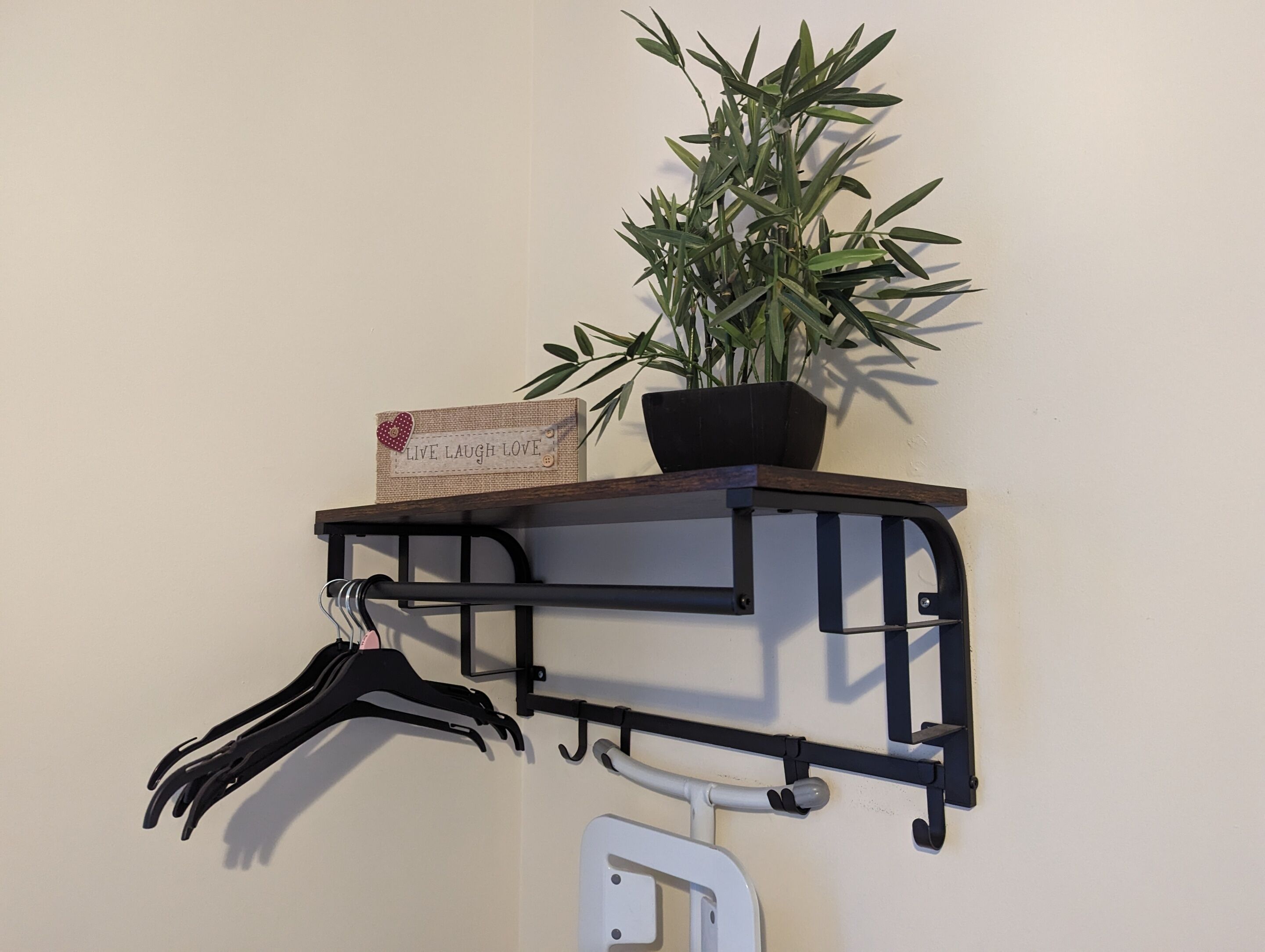 Un estante en la pared con una planta en maceta, un cartel y un perchero.