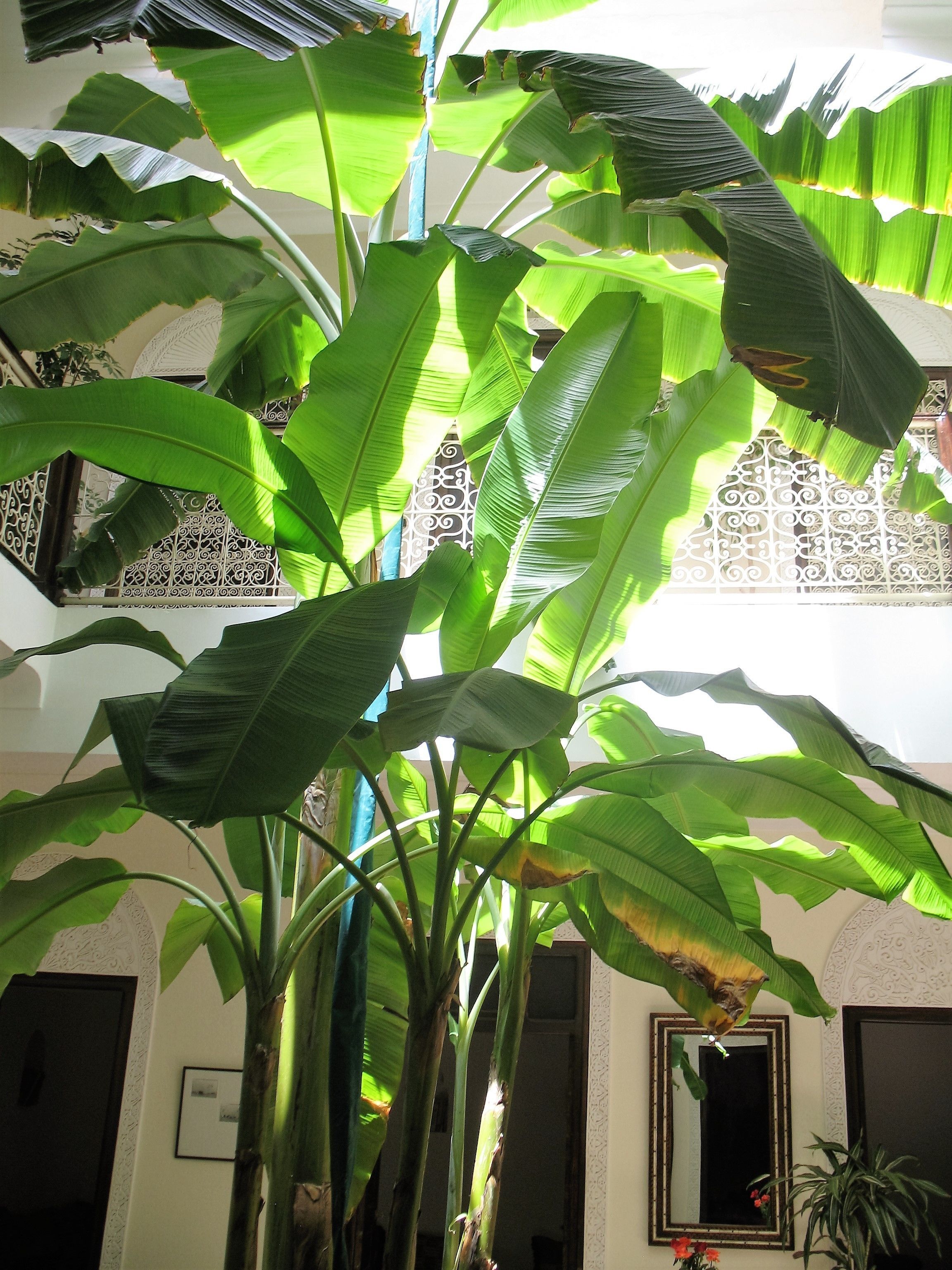 Foto - Riad Marhbabikoum