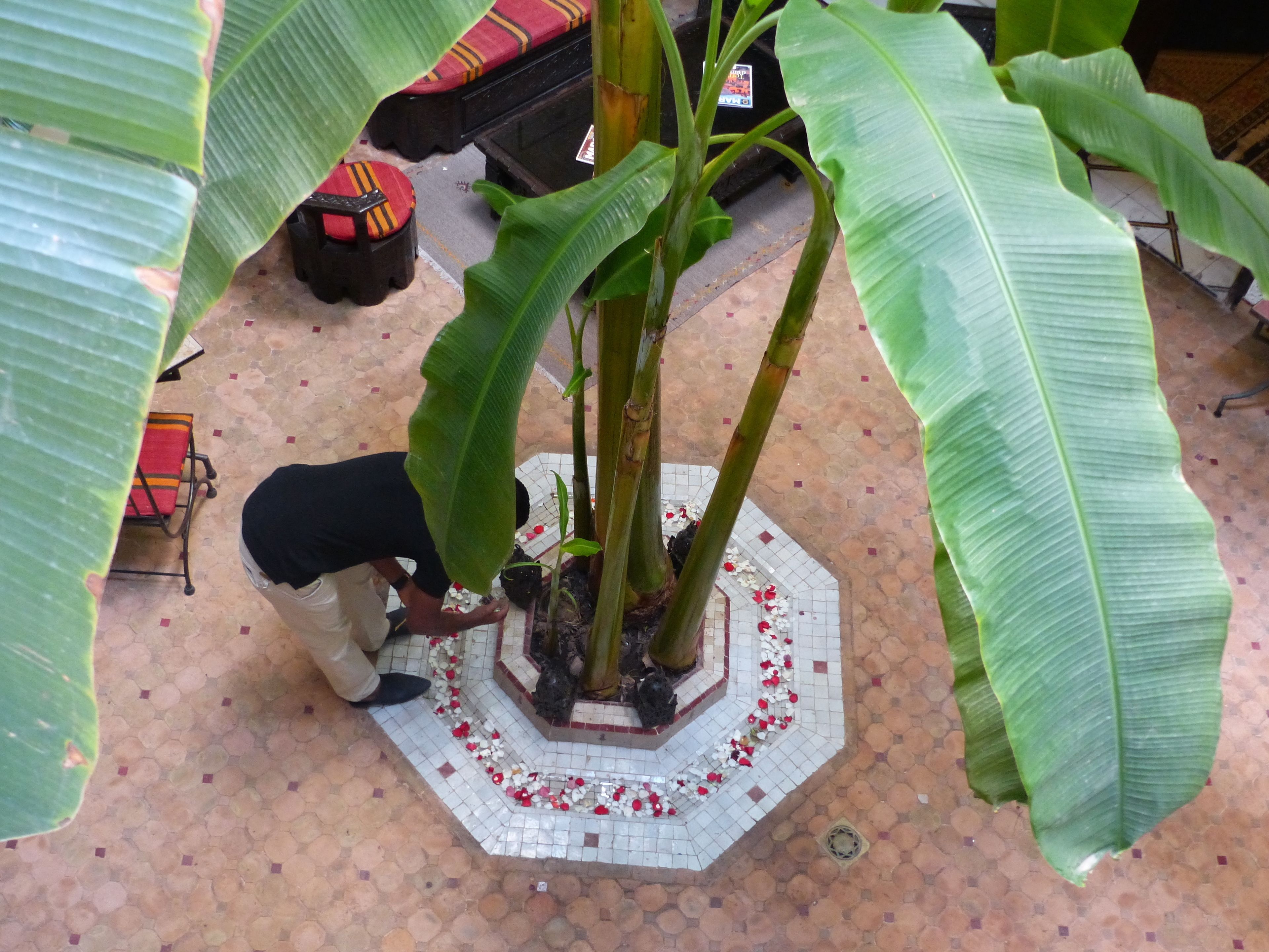 Foto - Riad Marhbabikoum