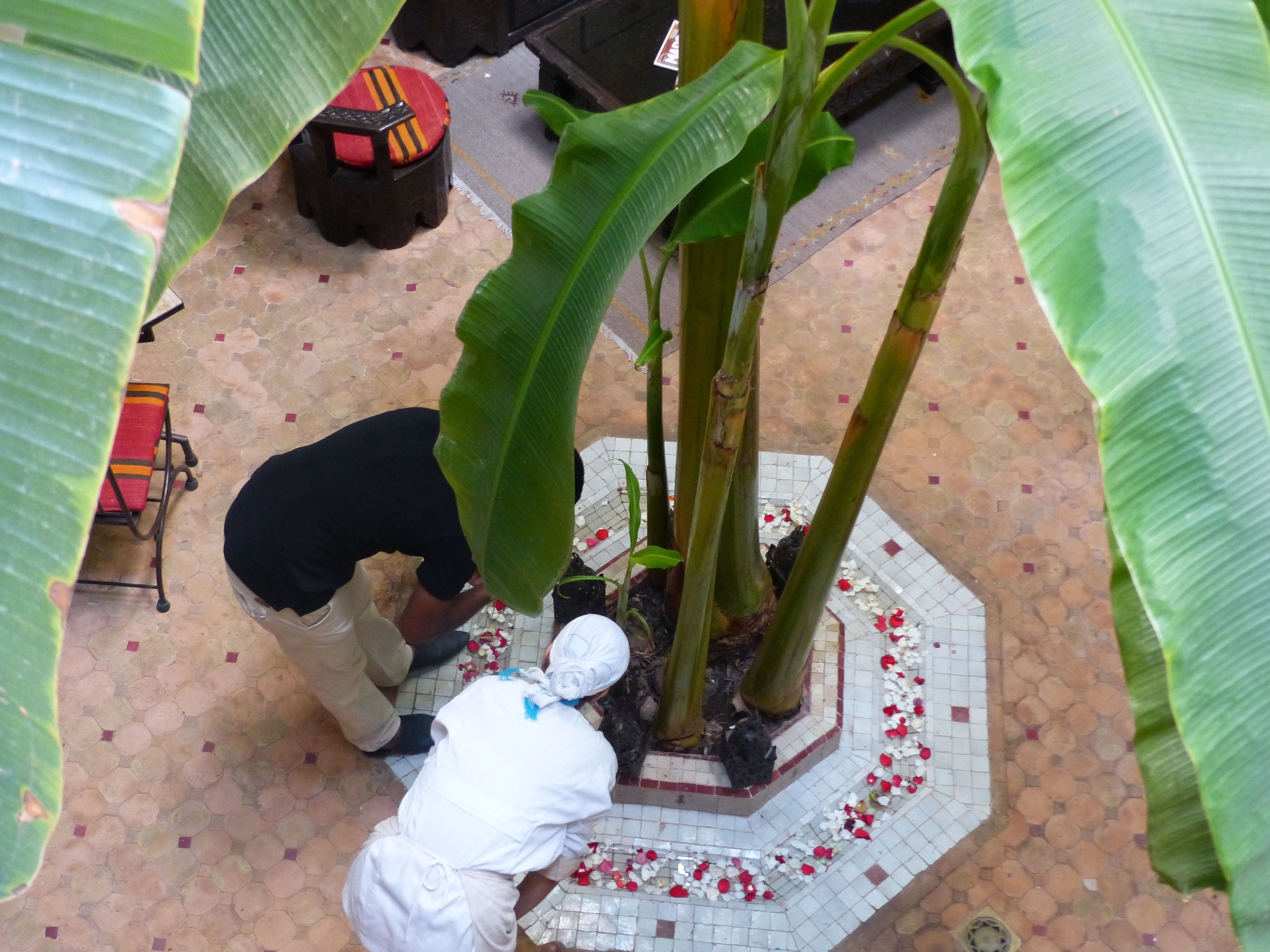 ลานระเบียง/นอกชาน