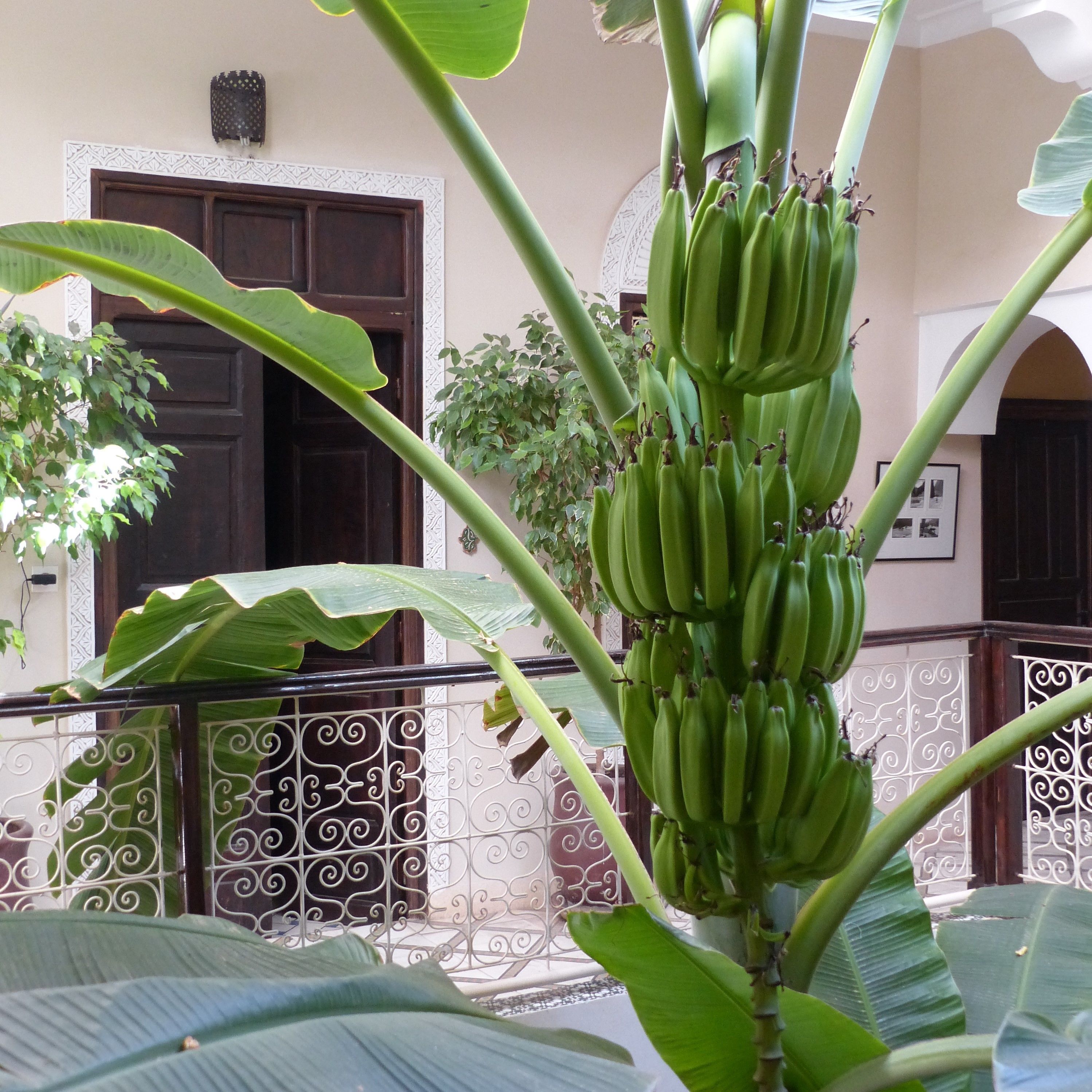 Photo - Riad Marhbabikoum