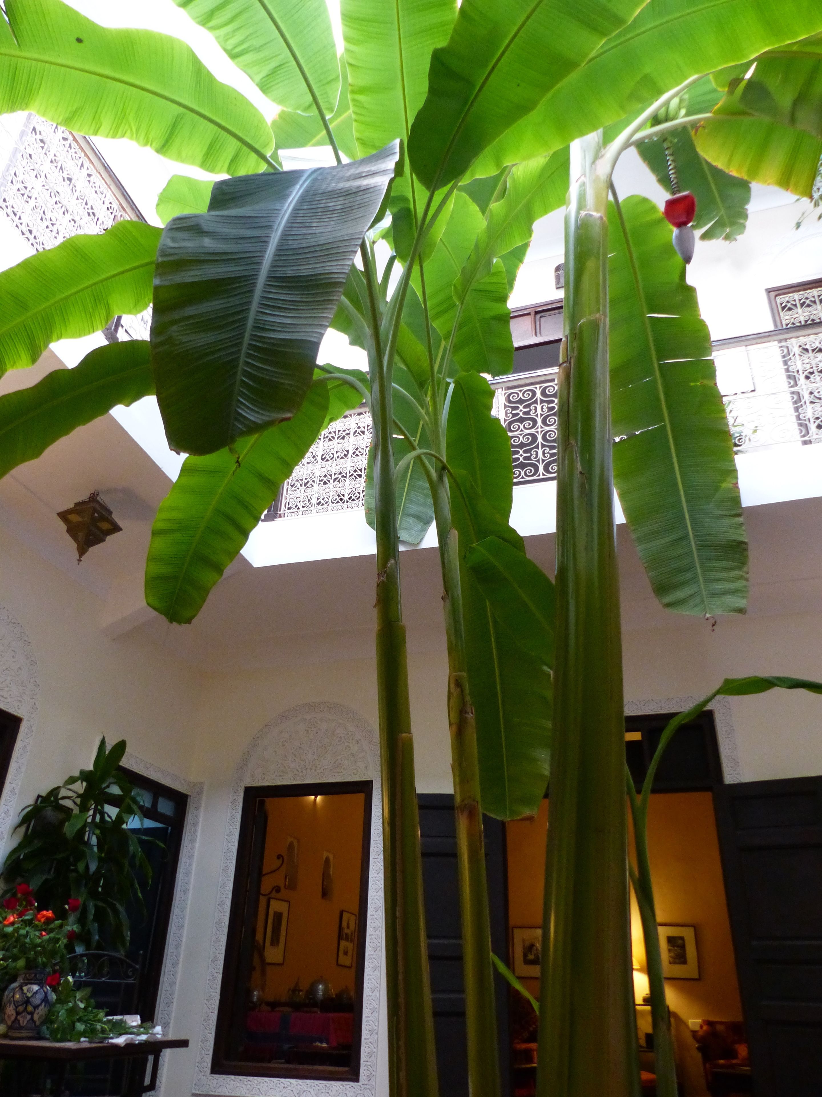 Foto - Riad Marhbabikoum