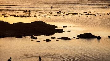 بالقرب من الشاطئ