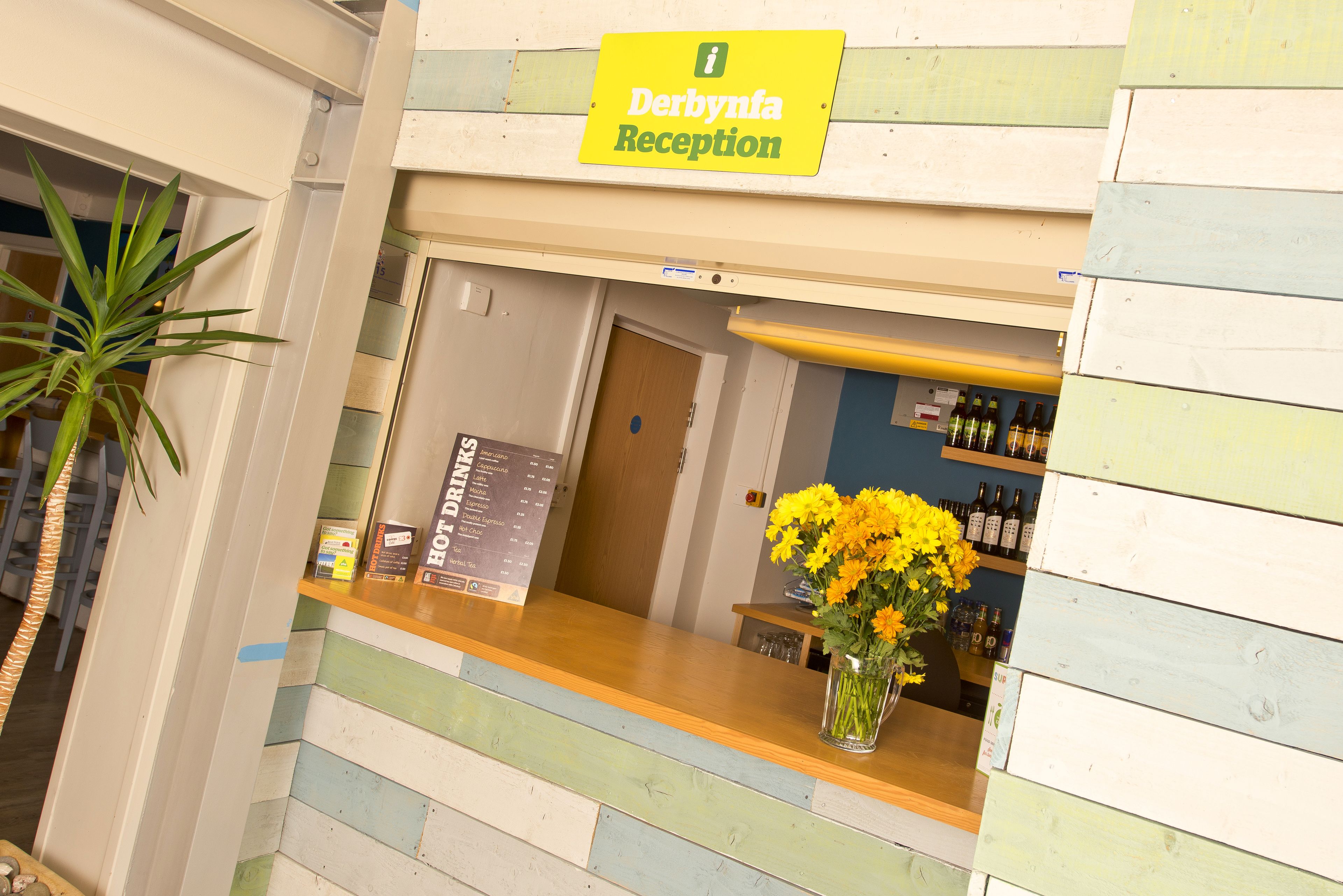 A reception area with a sign reading "Derbynia Reception," a wooden counter, a vase with yellow flowers, and a menu board.