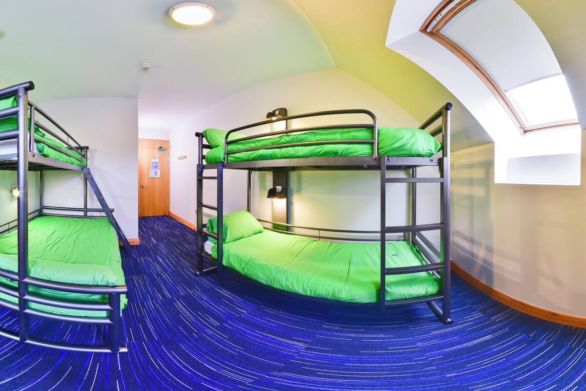 A bunk room with bunk beds, a skylight, and a blue carpet.
