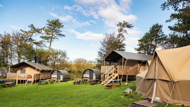 Een camping met diverse campers en tenten, picknicktafels en een gazon.