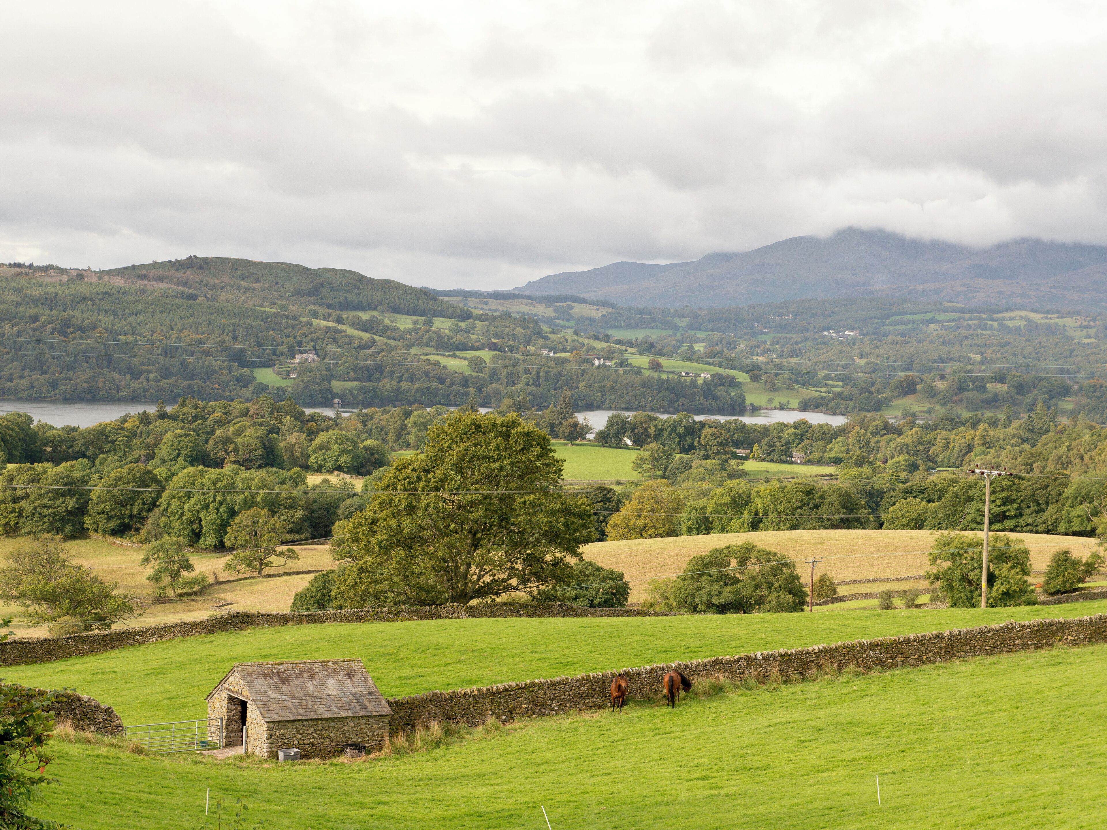 Un paysage rural avec un mur de pierres, un petit bâtiment en pierre et un champ où paissent des chevaux.