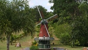 A windmill in a landscaped garden with palm trees and a stone pathway. - Pousada Moinho de Vento (Bonito)