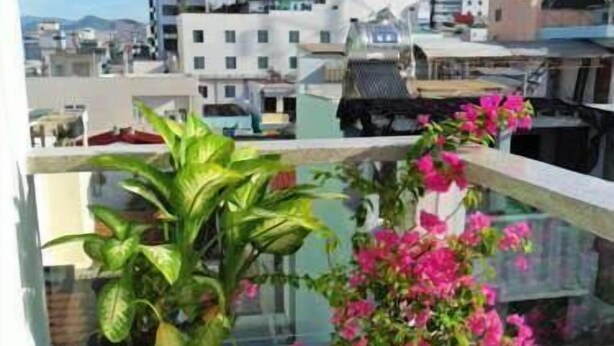 Een balkon met potplanten en uitzicht op de stad.