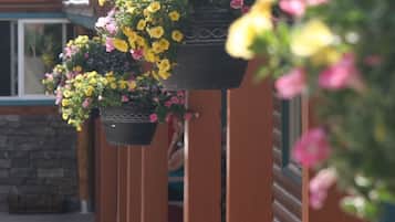 Detalle exterior