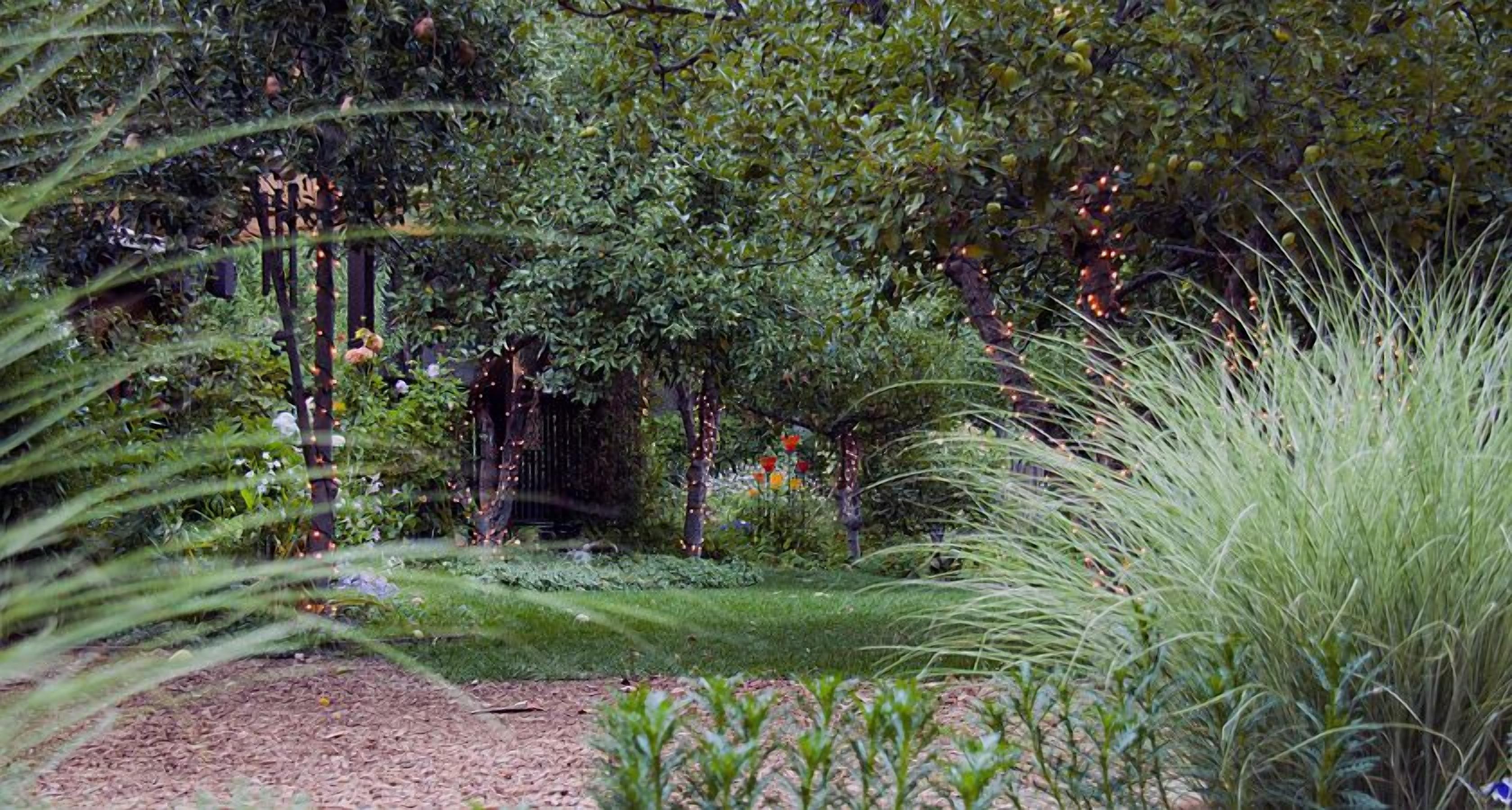 A garden with trees, grass, and a wooden fence.