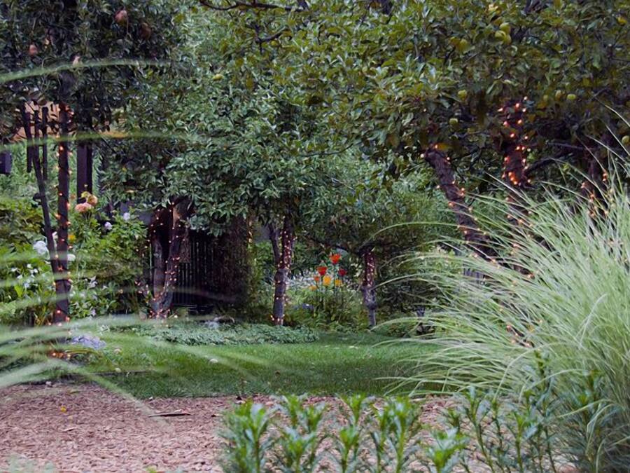 Un jardín con árboles, césped y una valla de madera.