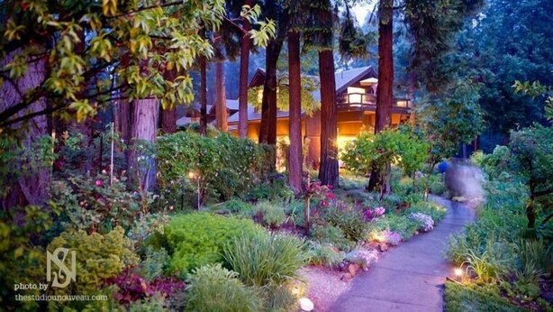 A forested area with a pathway leading to a building with a warm-lit interior. - Harmony Ridge Lodge (Nevada City)