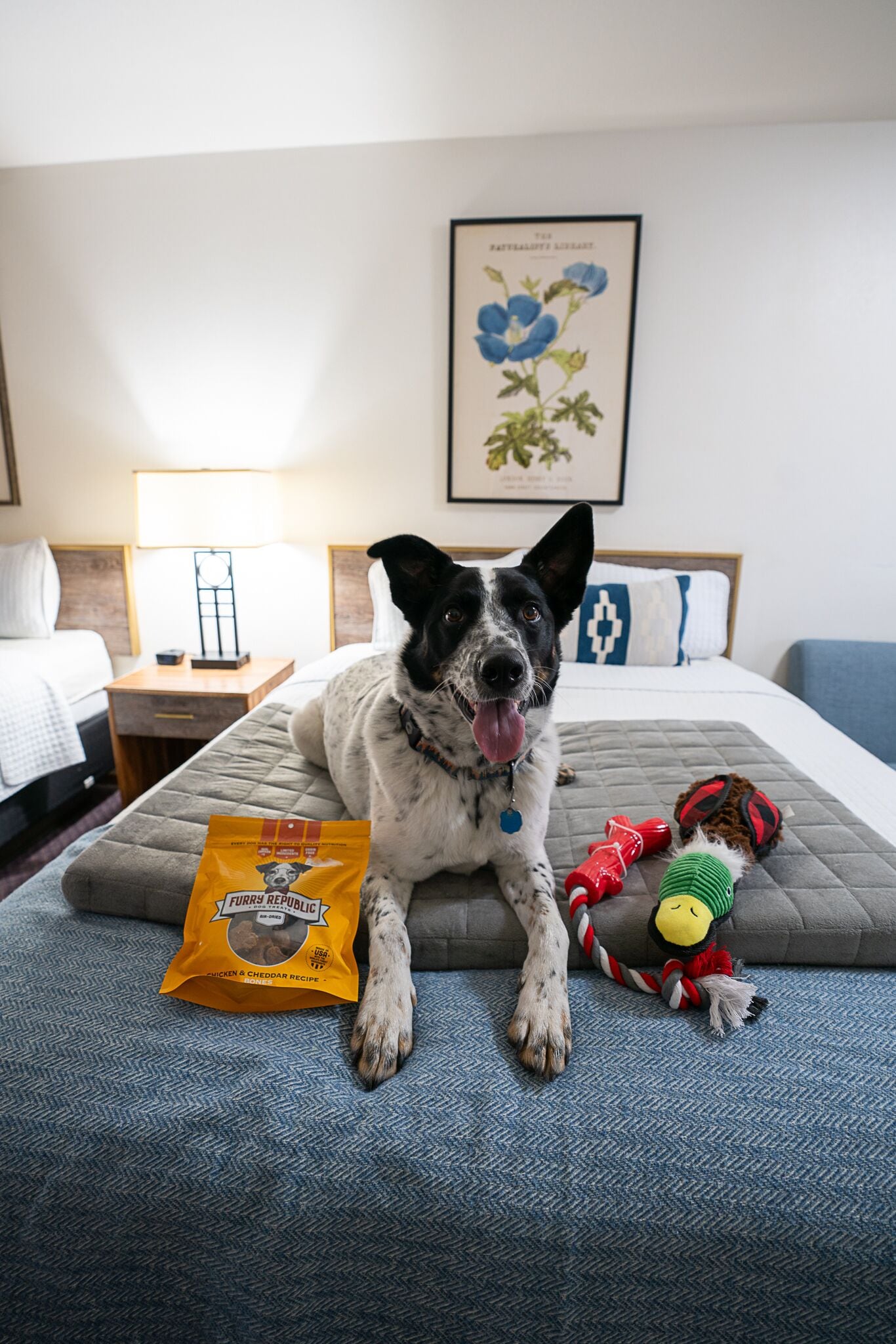 standard room, 2 queen beds | premium bedding, pillow-top beds, iron/ironing board, free wifi