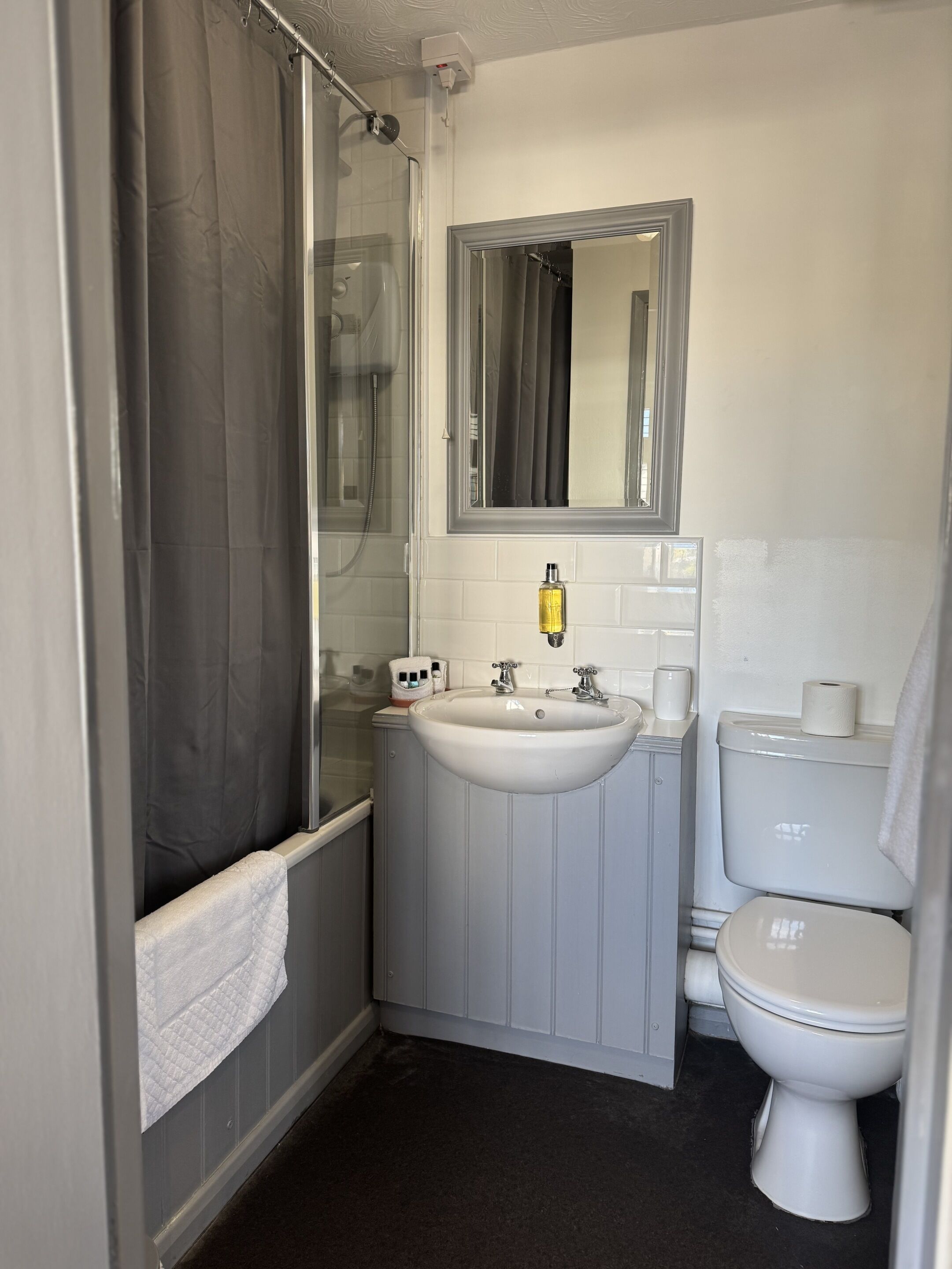 Een badkamer met douche, toilet, wastafel en een spiegel boven de wastafel.