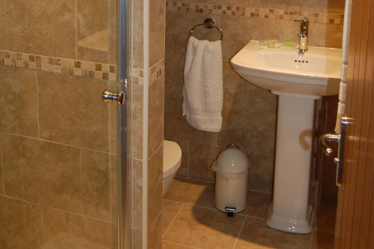 A bathroom with a shower, toilet, sink, and a trash can.