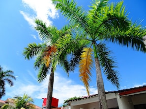 Ngoại thất