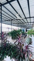 Un espacio al aire libre techado con ventiladores de techo, plantas en macetas y una zona de estar.