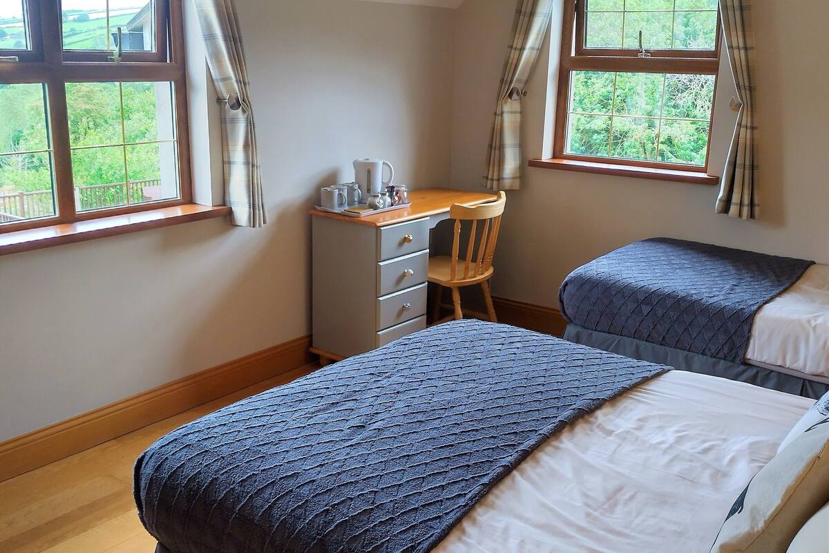 A bedroom with two beds, a desk with a chair, and two windows with curtains.