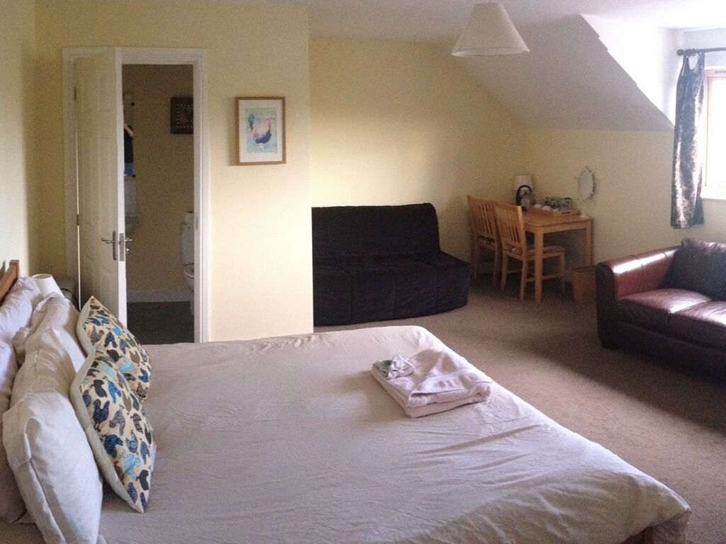 A bedroom with a bed, a sofa, a dining table, and a chair.