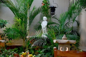 Vista al jardín