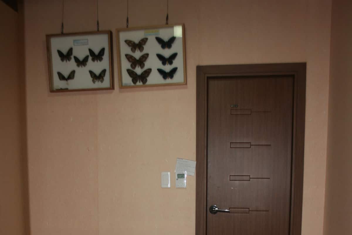 Standard Korean Traditional Ondol Room | Desk, free WiFi