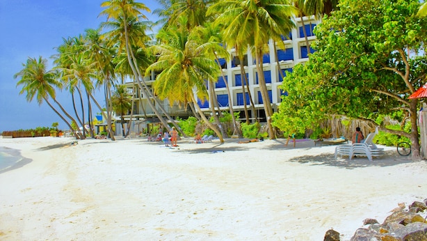 A beach with palm trees, a building with blue and white exterior, and beach chairs. - WhiteShell Island Hotel & Spa (Maafushi)