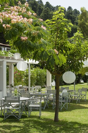 Terrace/patio - Skiathos Holidays (Skiathos)