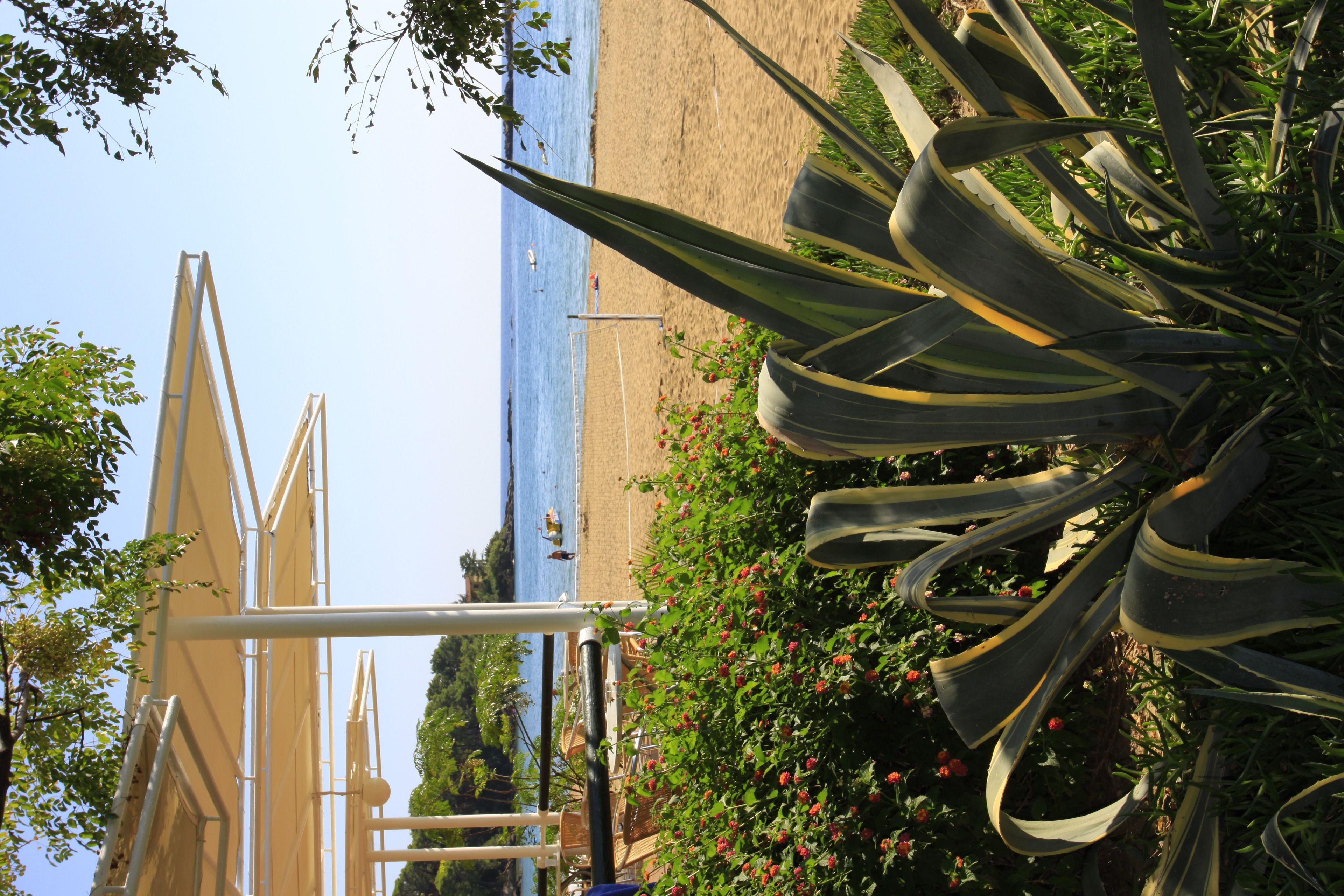 private beach, sun-loungers, beach umbrellas, beach towels