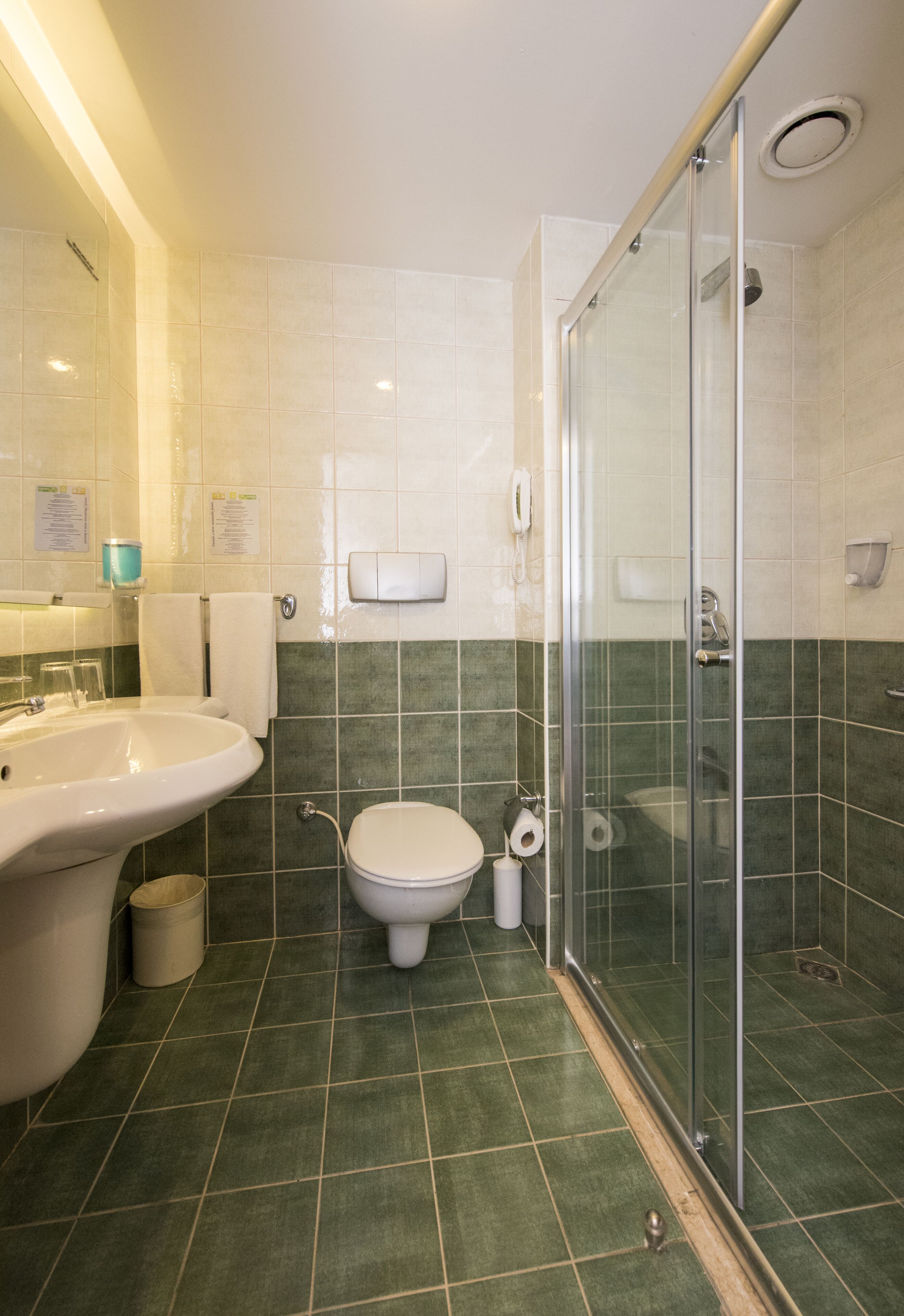 shower, eco-friendly toiletries, hair dryer, towels