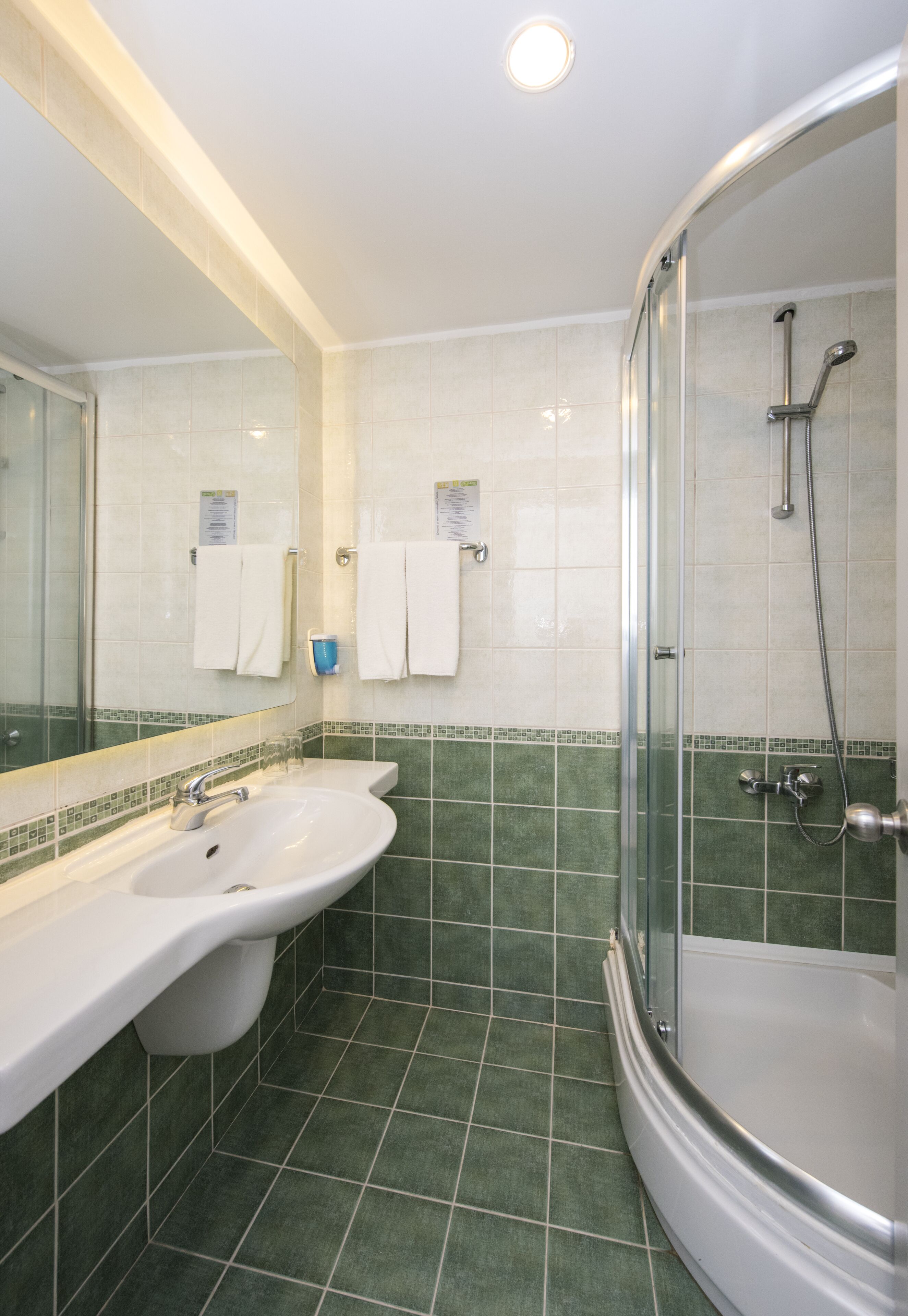 shower, eco-friendly toiletries, hair dryer, towels