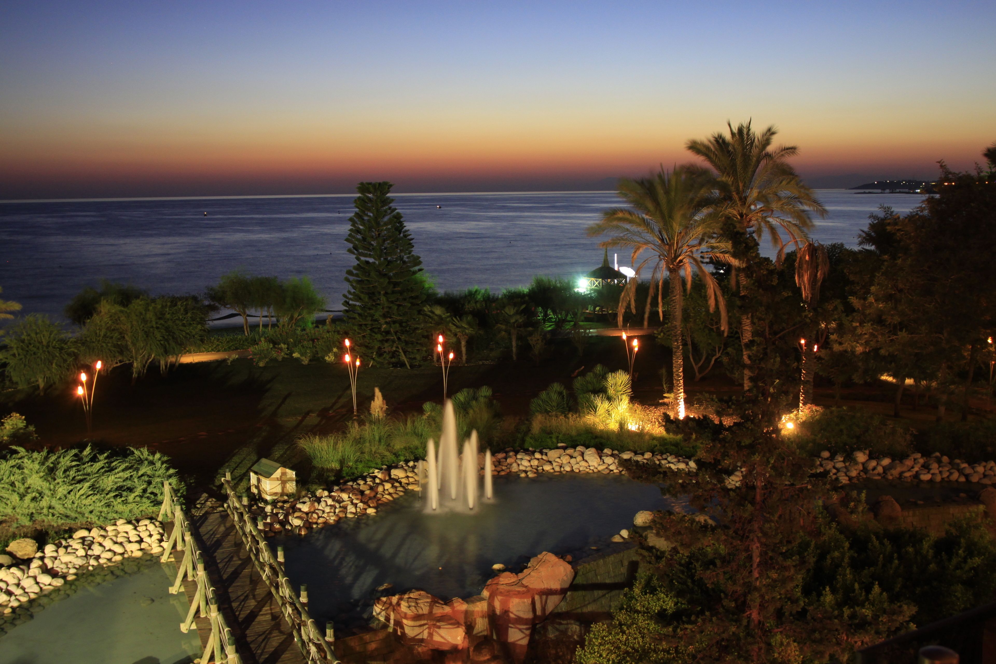 A landscaped garden with a pond, palm trees, and a view of the ocean at dusk.