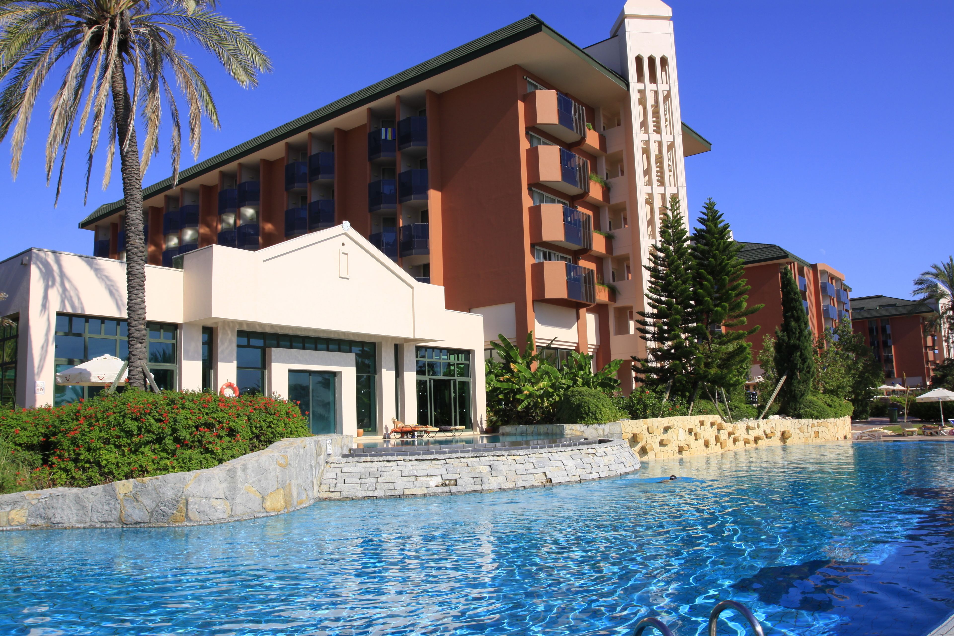 Un hotel moderno con piscina, una palmera y un muro de piedra.