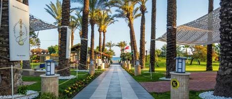 A pathway lined with palm trees leading to a building with a sign that reads 'What Flavor Do You Want?'
