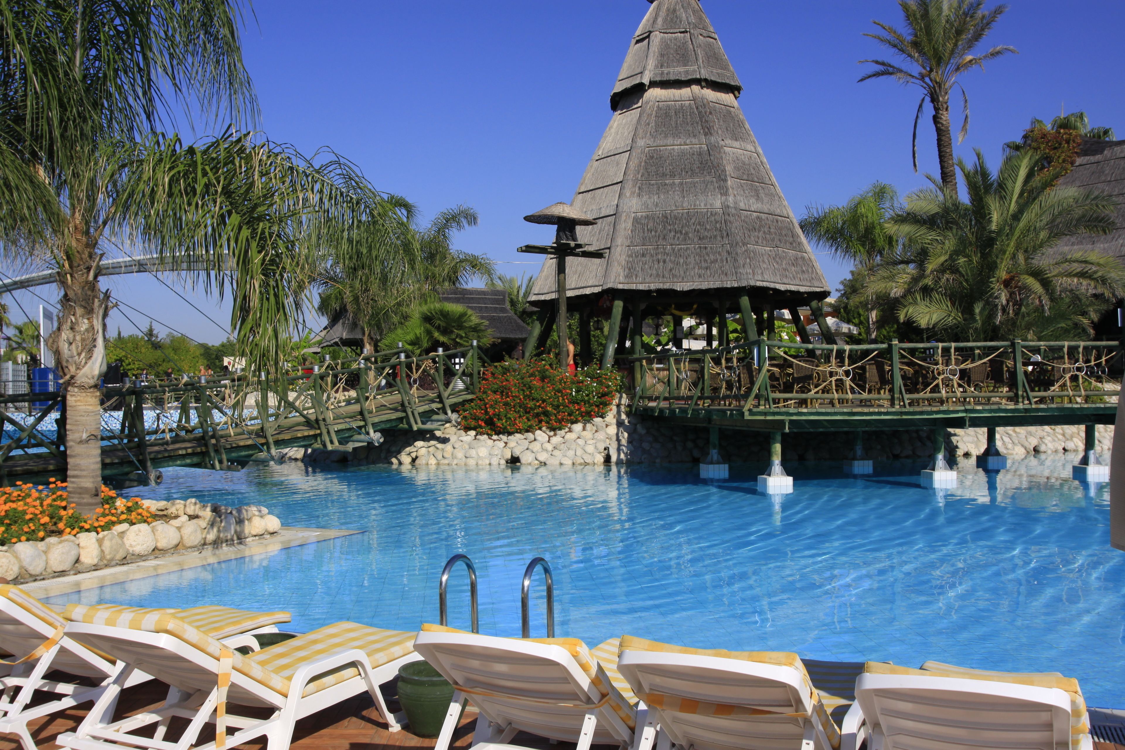 A swimming pool with lounge chairs, a thatched-roof structure, palm trees, and a stone wall.