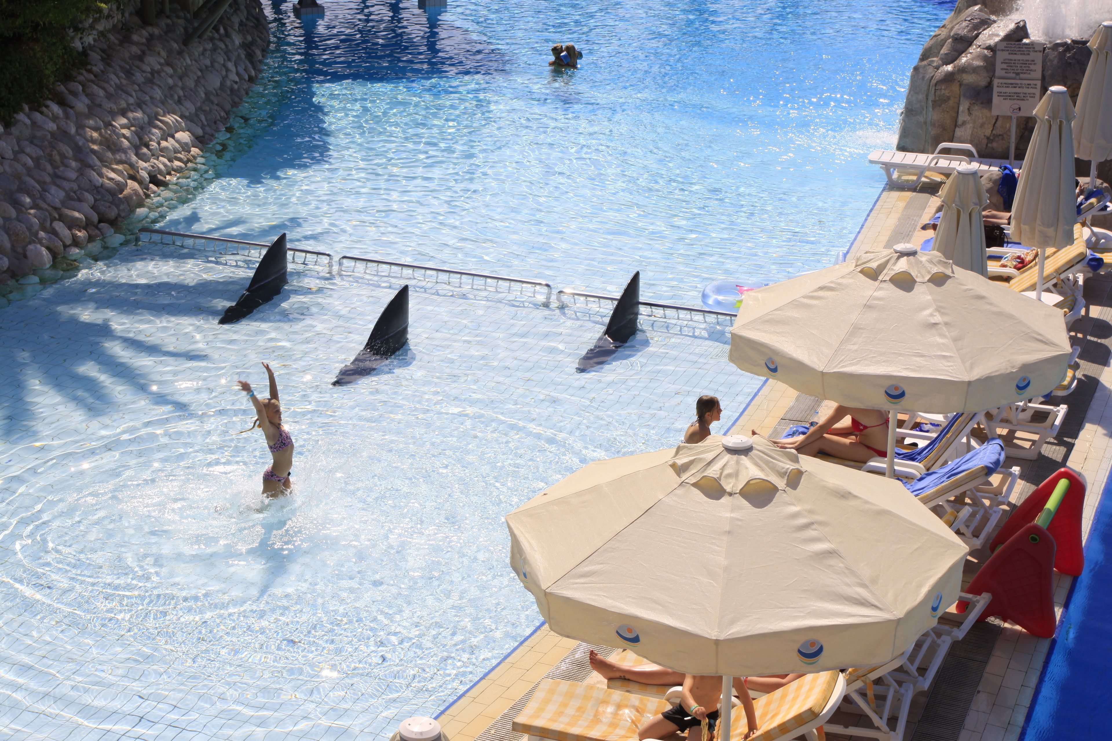 En swimmingpool med delfiner, liggestole og parasoller.