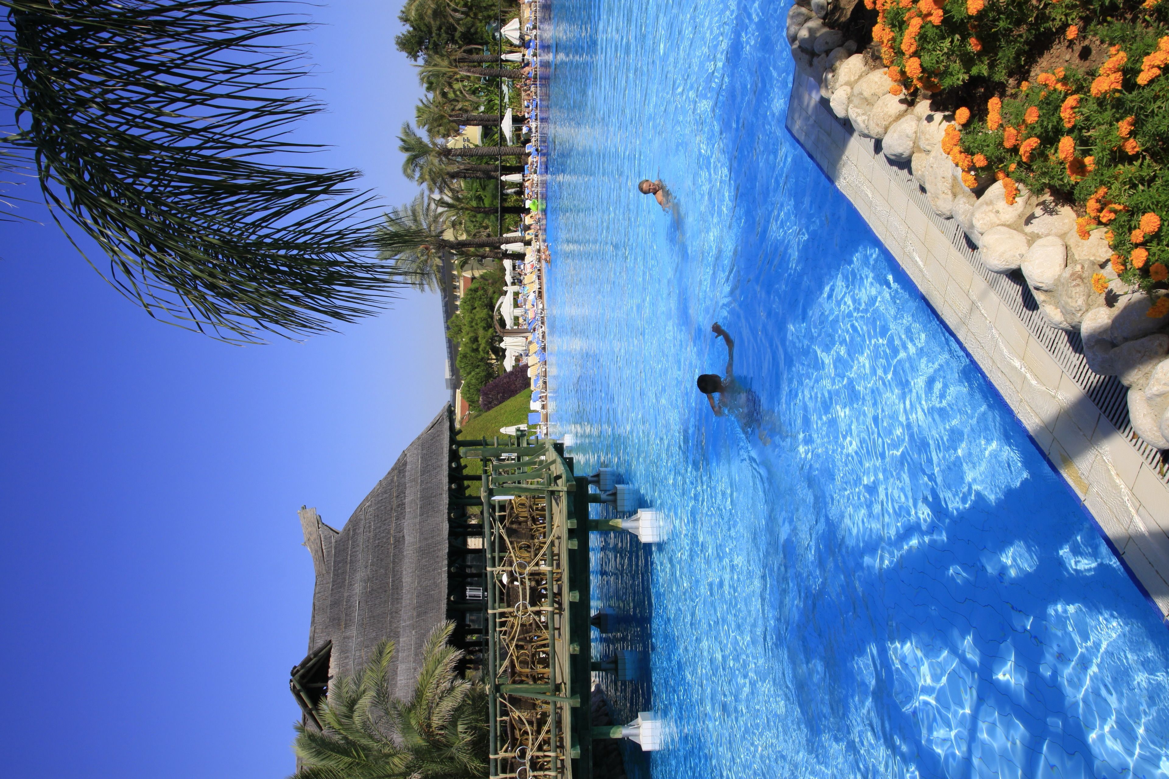 Una piscina con acqua cristallina, circondata da palme e un’area prendisole con ombrelloni.