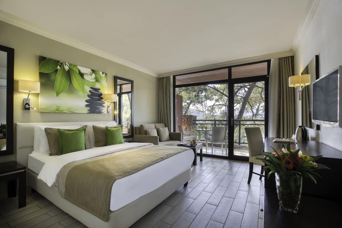 Free minibar, in-room safe, laptop workspace, soundproofing