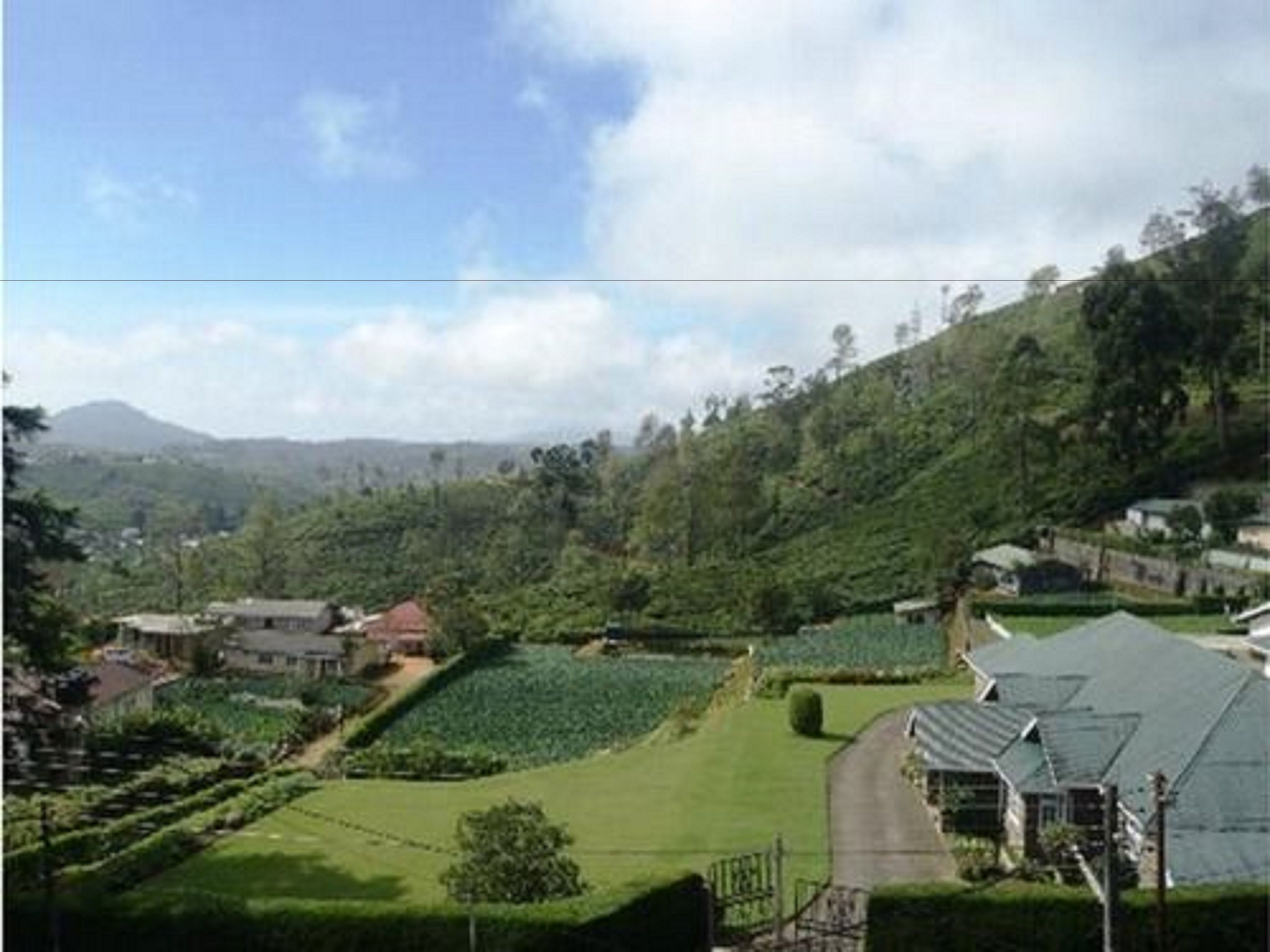 A rural landscape with a house surrounded by lush greenery and a clear sky.