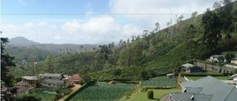 A rural landscape with a house surrounded by lush greenery and a clear sky.