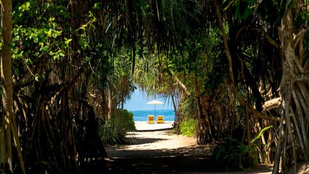 Ein Weg führt zu einem Strand, wo zwei gelbe Stühle und ein Strandsonnenschirm stehen.
