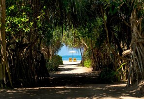 A pathway leading to a beach with two yellow chairs and a beach umbrella. - Palm Beach Inn and Sea Shells Cabanas (Bentota)