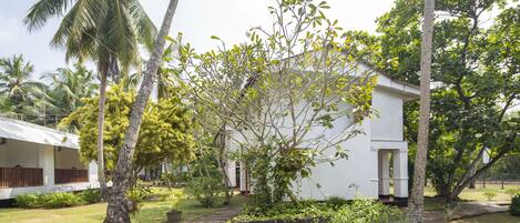 A white building with a garden in front, surrounded by palm trees and other greenery.