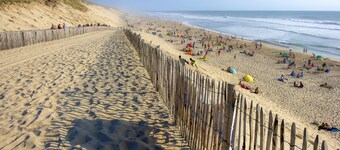 Les Oyats Sylvadoures