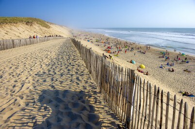 Les Oyats Sylvadoures