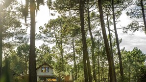 Une cabane au cœur d  ’une forêt, entourée de grands arbres et dotée d’une terrasse en bois.